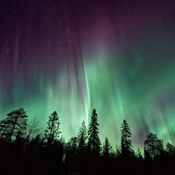 Northern — Olympus Talent profile picture